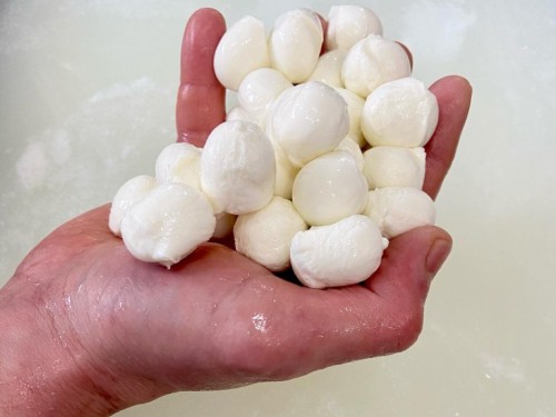 bocconcini di mozzarella