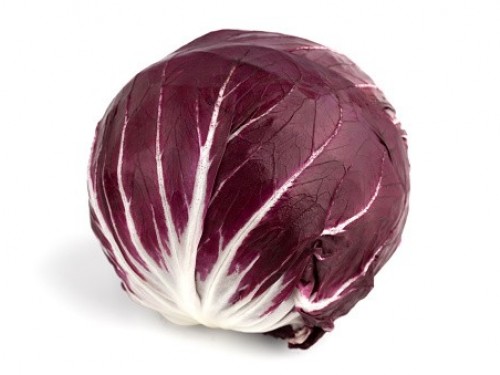 radicchio di Treviso